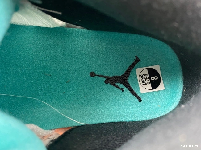 Kicktheory Jordan Air 136027-108 Retro Grape (2013) 5 0704